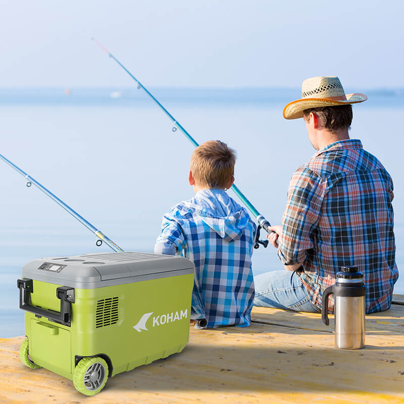 Hot and Cold Portable Fridge